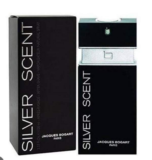 SILVER SCENT EAU de TOILETTE MASCULINO