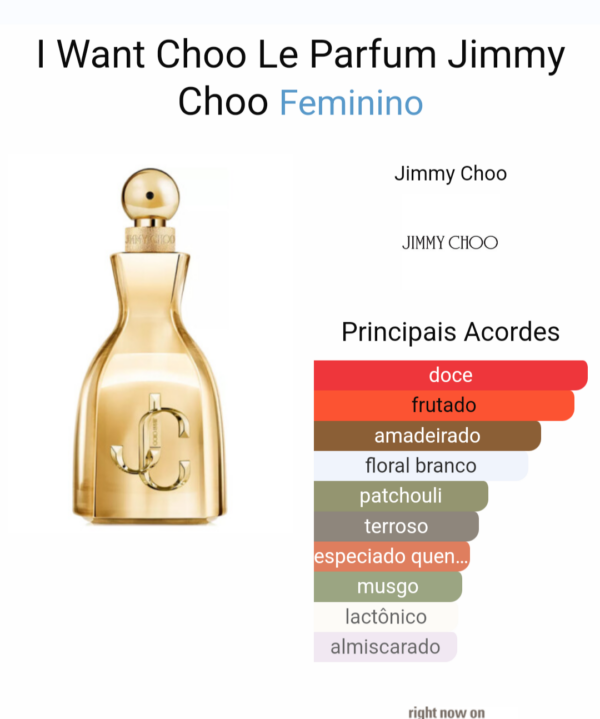 I Want Choo  Eau de Parfum Feminino - Image 4